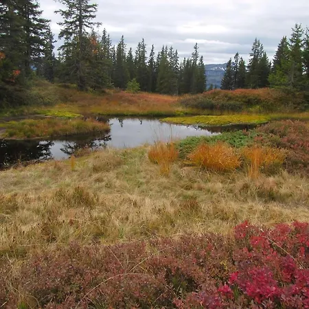 Lägenhet Mit Hallenbad Berg (Fischen)
