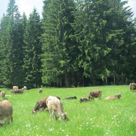 Mit Hallenbad